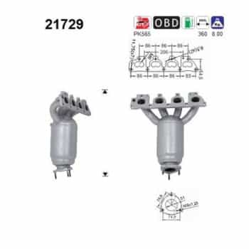 Catalyseur 21729 AS